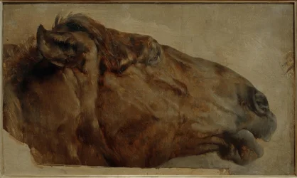 Étude de cheval. Tête de profil vers la droite